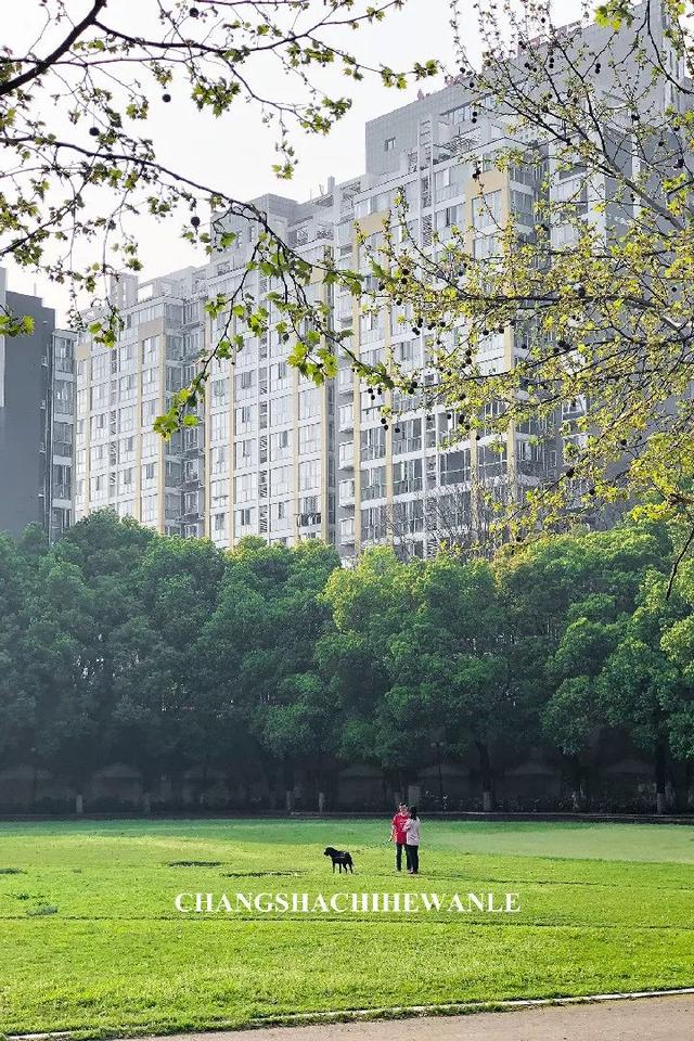 铁道学院，永不永不说再见！