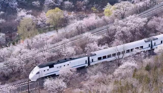 定了！石家庄将建1条市郊铁路，连接主城区与周边一地，今年开工