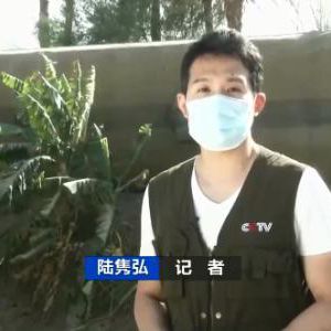 火车相撞！19人遇难，185人受伤！背后折射这个国家铁路系统隐患