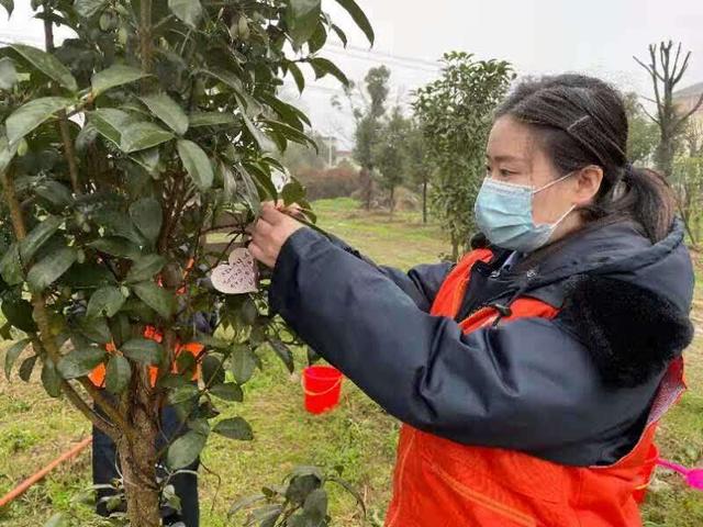 合肥车务段团员青年线上线下呵护“青年林”