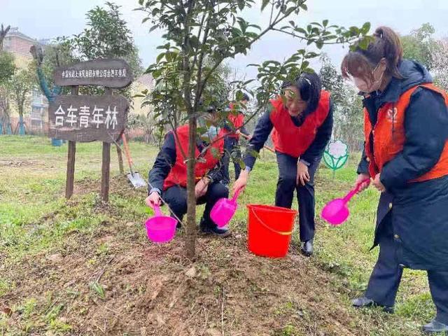 合肥车务段团员青年线上线下呵护“青年林”