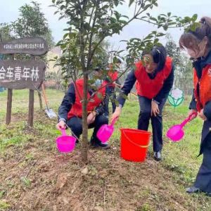 合肥车务段团员青年线上线下呵护“青年林”