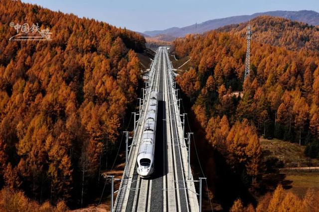 秋日特辑｜开往秋天的火车，美到窒息……